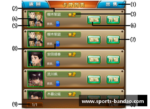 巅峰之选：探索十大球员卡的无尽风采