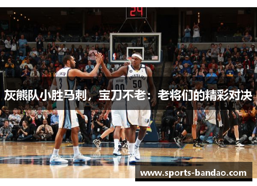 灰熊队小胜马刺，宝刀不老：老将们的精彩对决